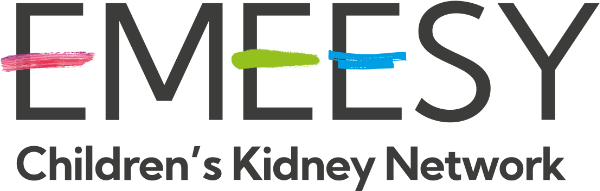 emeesy logo