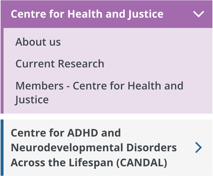 Picture of the IMH website's menu
