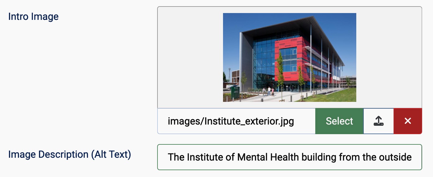 Example of adding alt text to an image